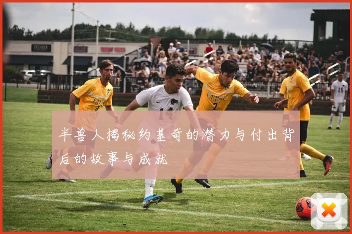 半兽人揭秘约基奇的潜力与付出背后的故事与成就